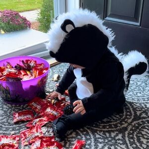 Pottery Barn Skunk Costume